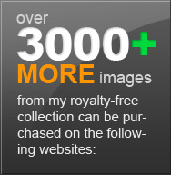 Purchase images from Norebbo