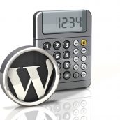 Calculator Icon: Wordpress