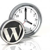 Clock Icon: Wordpress