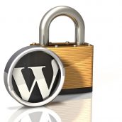 Lock Icon: Wordpress