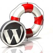 Rescue Icon: Wordpress