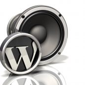 Speaker Icon: Wordpress
