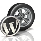 Wheel Icon: Wordpress