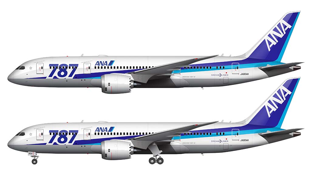 ANA 787 livery